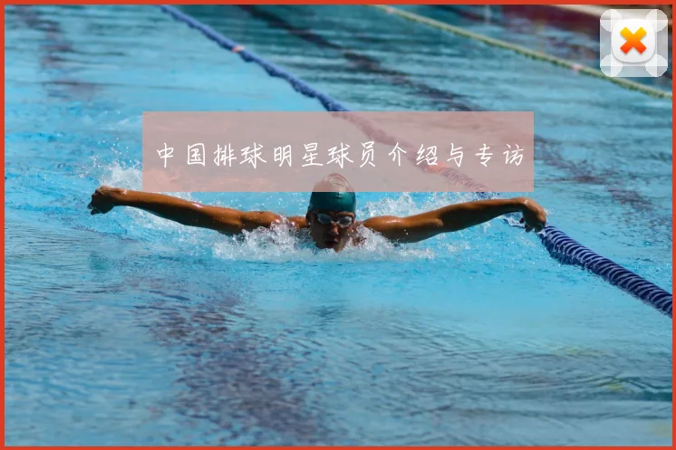 中国排球明星球员介绍与专访