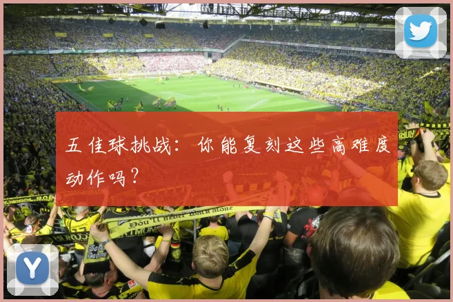 五佳球挑战：你能复刻这些高难度动作吗？
